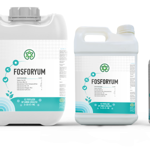 Fosforyum