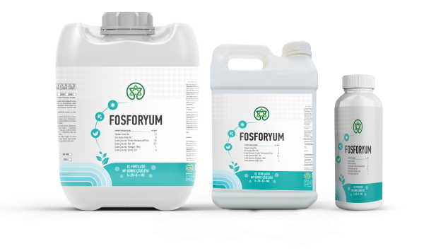 Fosforyum