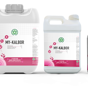 My-Kalbor