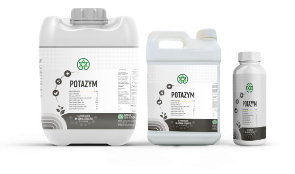 Potazym